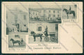 Reggio Emilia città cartolina QK0227 – fronte