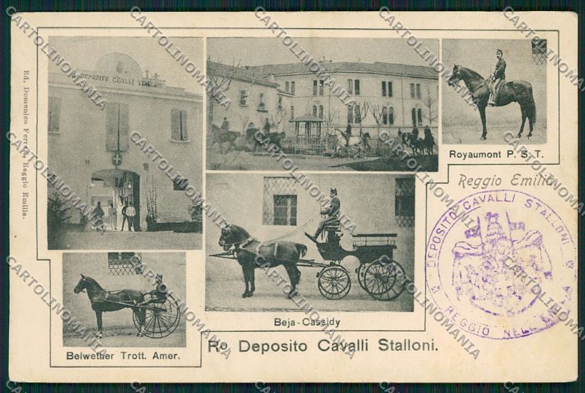 Reggio Emilia città cartolina QK0240 – fronte