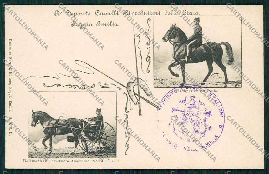 Reggio Emilia città cartolina QK0244 – fronte