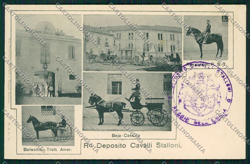 Reggio Emilia città cartolina QK0246 – fronte