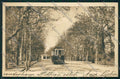 Alessandria città Tram cartolina QK0380 – fronte