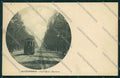 Alessandria città cartolina QK0417 – fronte