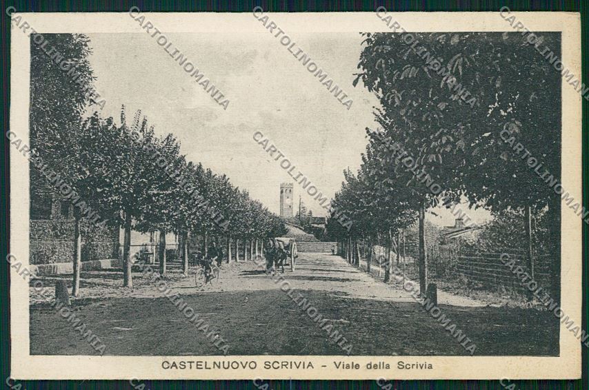Alessandria Castelnuovo Scrivia cartolina QK0757 – fronte