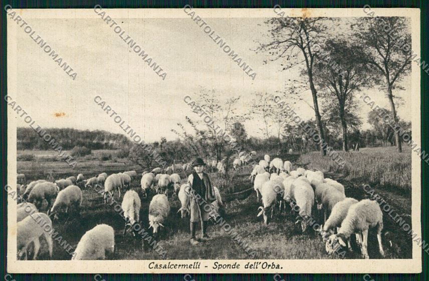 Alessandria Casalcermelli cartolina QK0773 – fronte