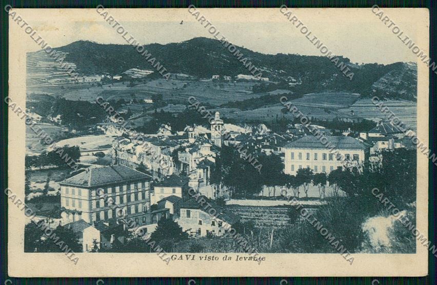 Alessandria Gavi cartolina QK0797 – fronte
