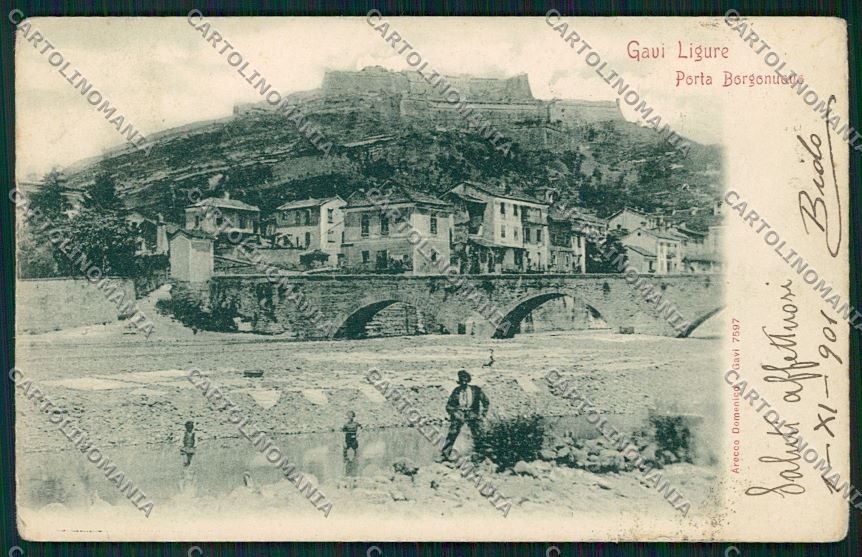 Alessandria Gavi cartolina QK0811 – fronte