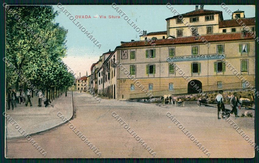 Alessandria Ovada cartolina QK0933 – fronte