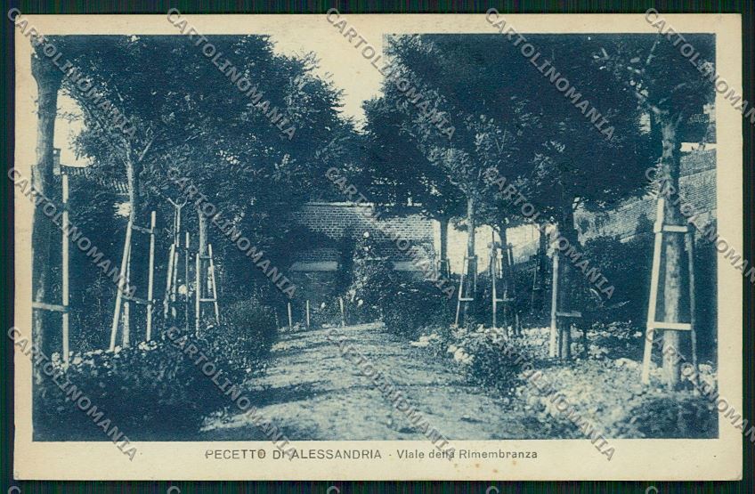 Alessandria Pecetto cartolina QK0943 – fronte