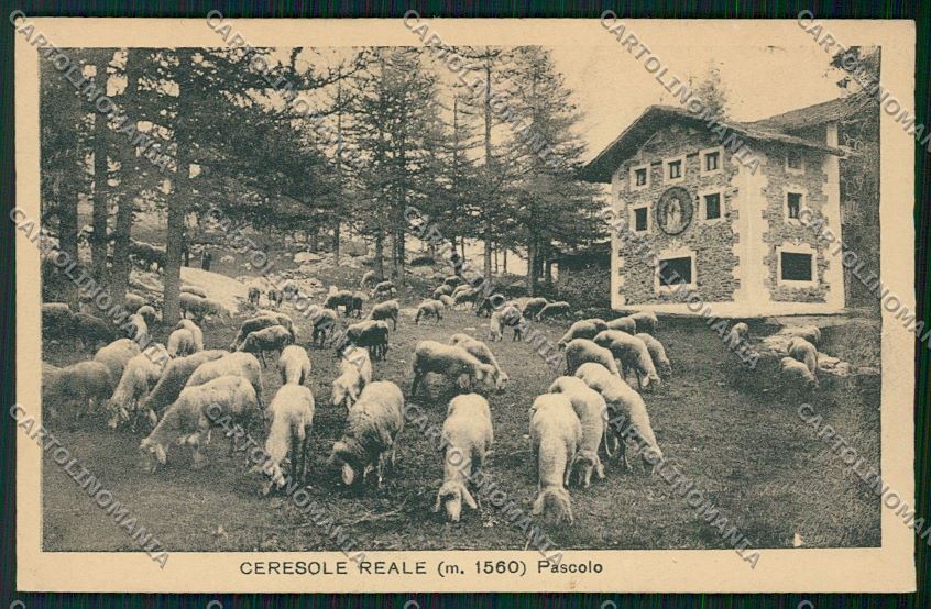 Torino Ceresole Reale cartolina QK1188 – fronte