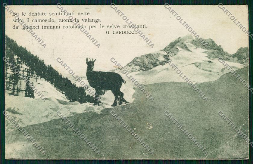 Torino Cesana Carducci Abrasa PIEGHINA cartolina QK1197 – fronte