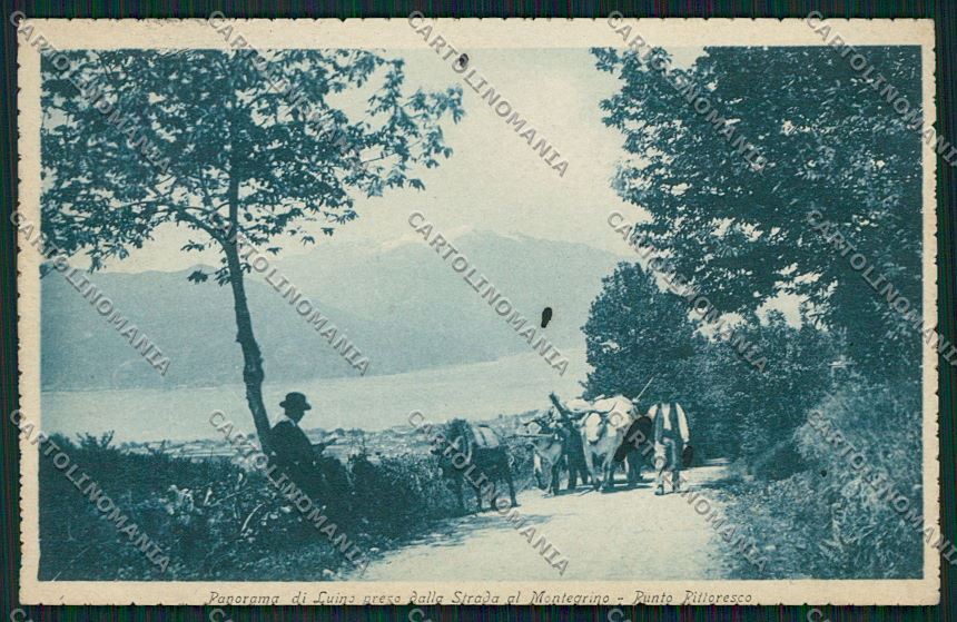 Varese Luino cartolina QK2171 – fronte