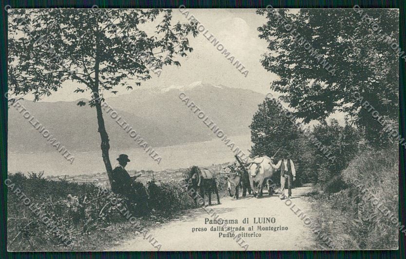 Varese Luino cartolina QK2184 – fronte