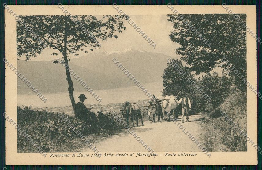Varese Luino cartolina QK2198 – fronte