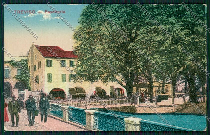 Treviso città cartolina QK2286 – fronte