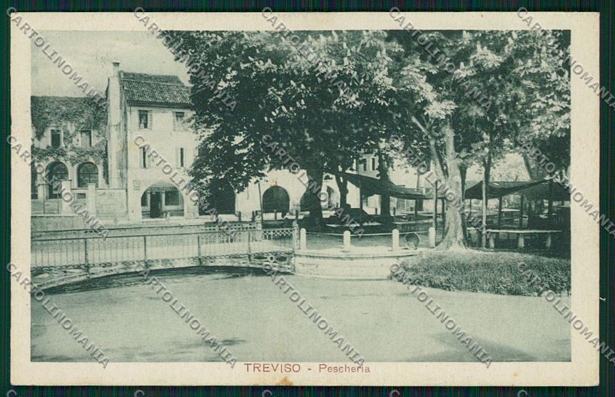 Treviso città cartolina QK2300 – fronte