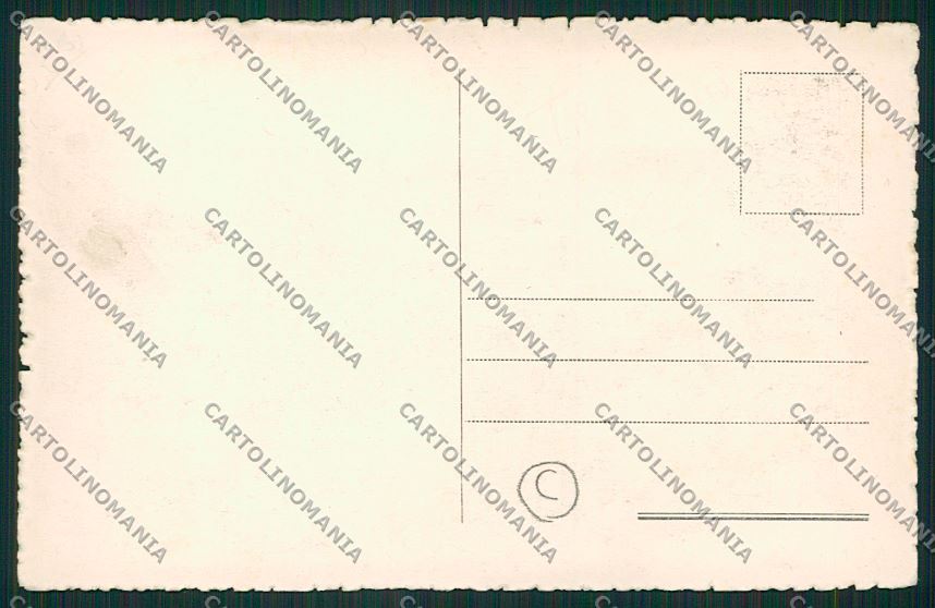 Treviso città cartolina QK2309 – retro