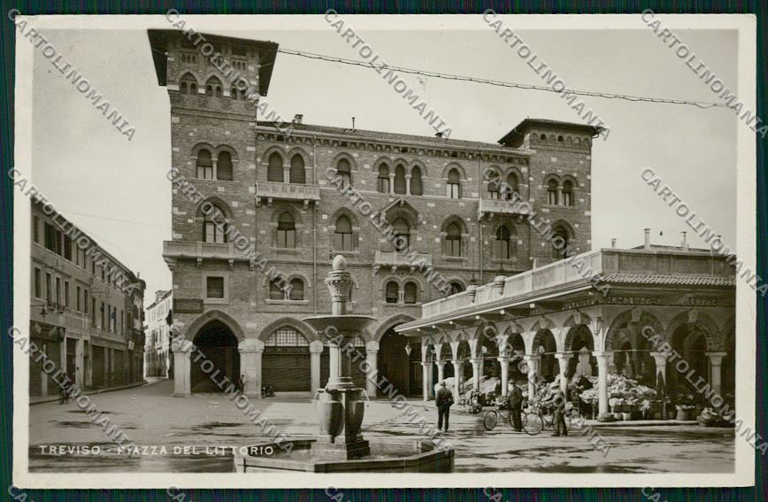 Treviso città foto cartolina QK2320 – fronte