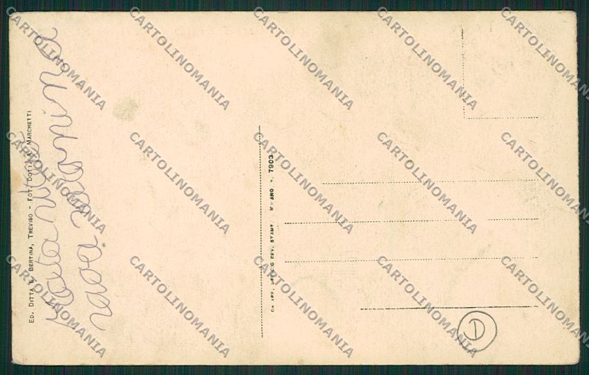 Treviso città cartolina QK2342 – retro