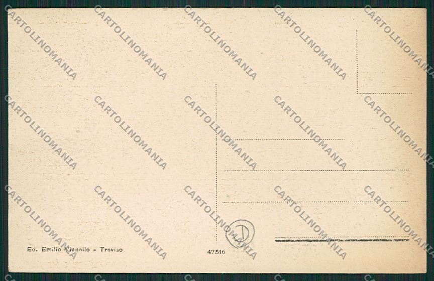 Treviso città PIEGHINA cartolina QK2356 – retro