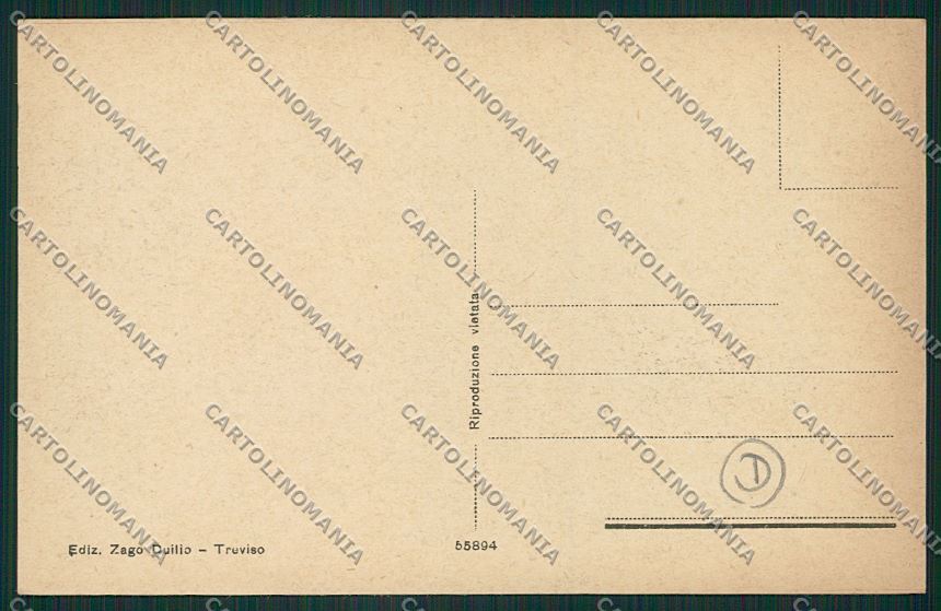 Treviso città cartolina QK2361 – retro