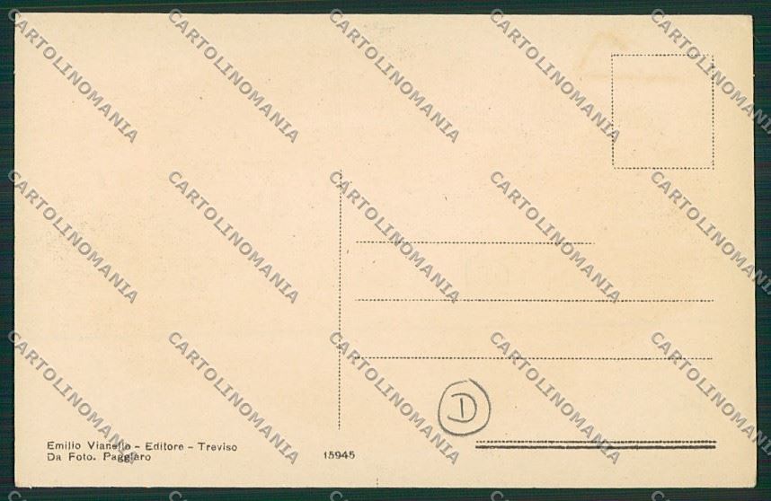 Treviso città cartolina QK2377 – retro