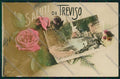 Treviso città Saluti da foto cartolina QK2380 – fronte