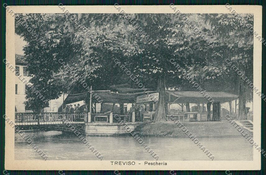 Treviso città Fascismo cartolina QK2429 – fronte