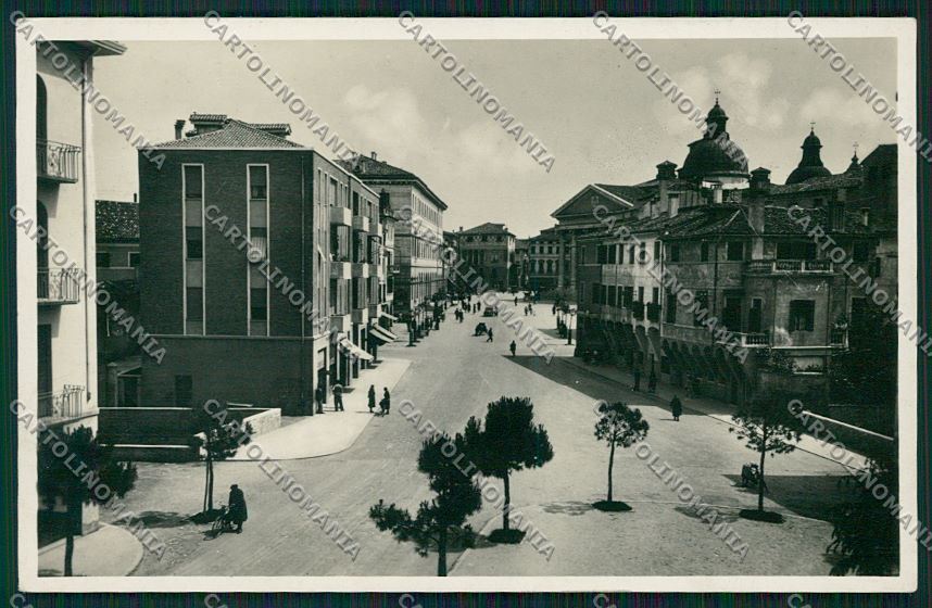 Treviso città foto cartolina QK2453 – fronte