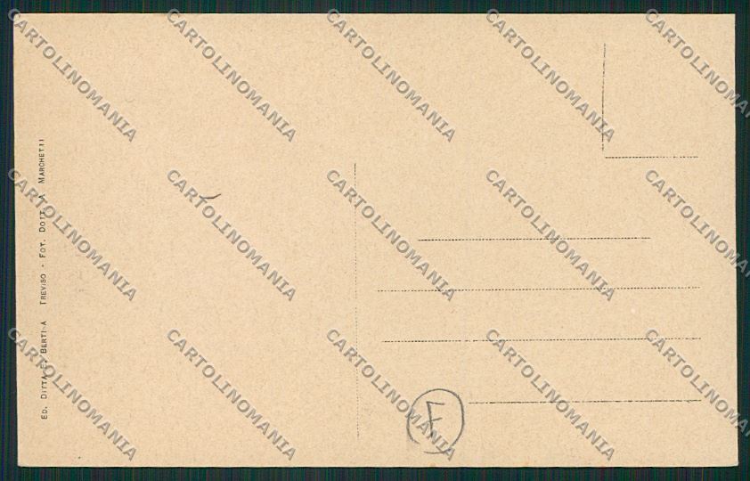 Treviso città cartolina QK2457 – retro