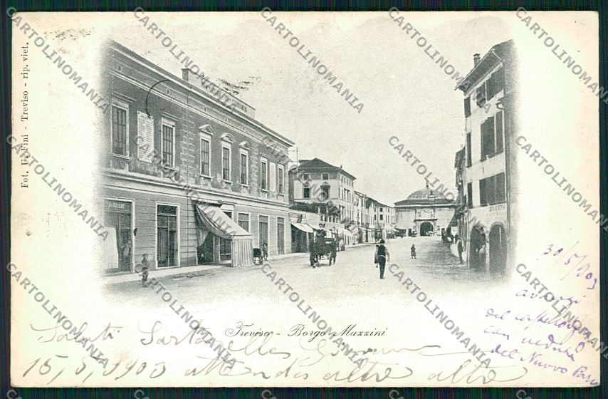 Treviso città cartolina QK2461 – fronte
