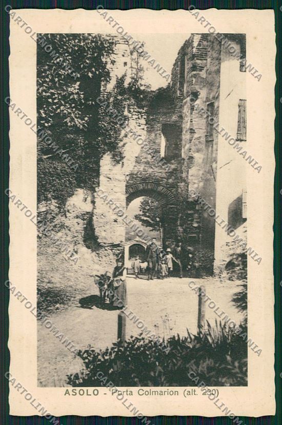 Treviso Asolo cartolina QK2537 – fronte