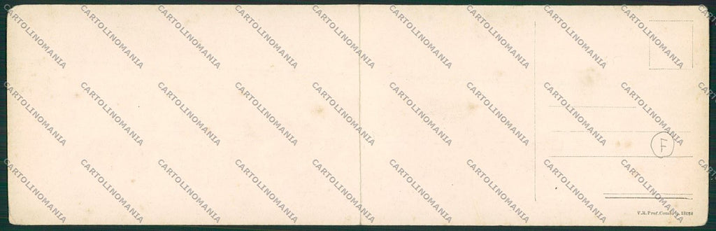 Treviso Castelfranco Veneto DOPPIA SCOLLATA cartolina QK2551 – retro