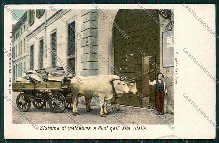 Como Città Buoi cartolina QK3246 – fronte