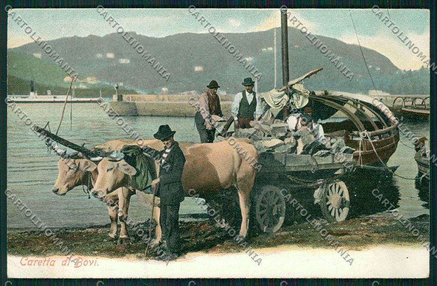Como Città Buoi cartolina QK3247 – fronte