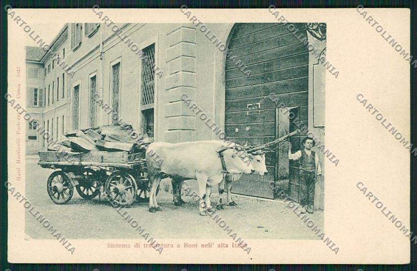 Como Città Buoi cartolina QK3274 – fronte