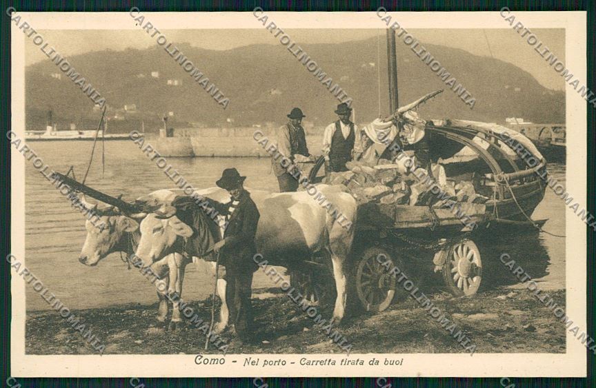 Como Città Buoi cartolina QK3283 – fronte