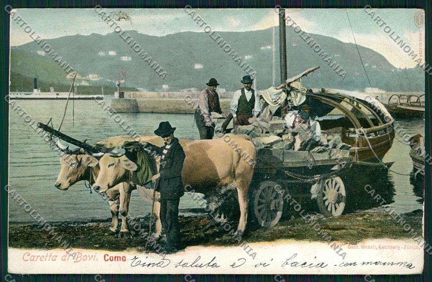 Como Città Buoi cartolina QK3288 – fronte