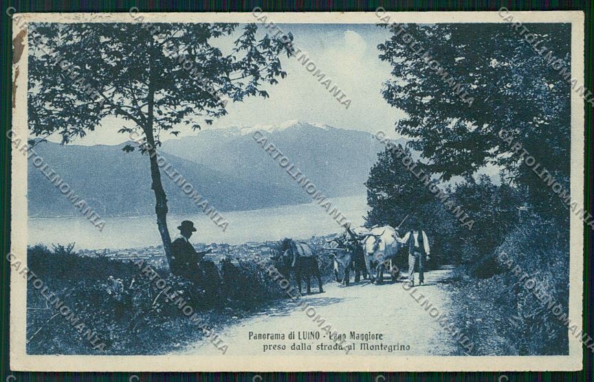 Varese Montegrino Buoi cartolina QK3541 – fronte