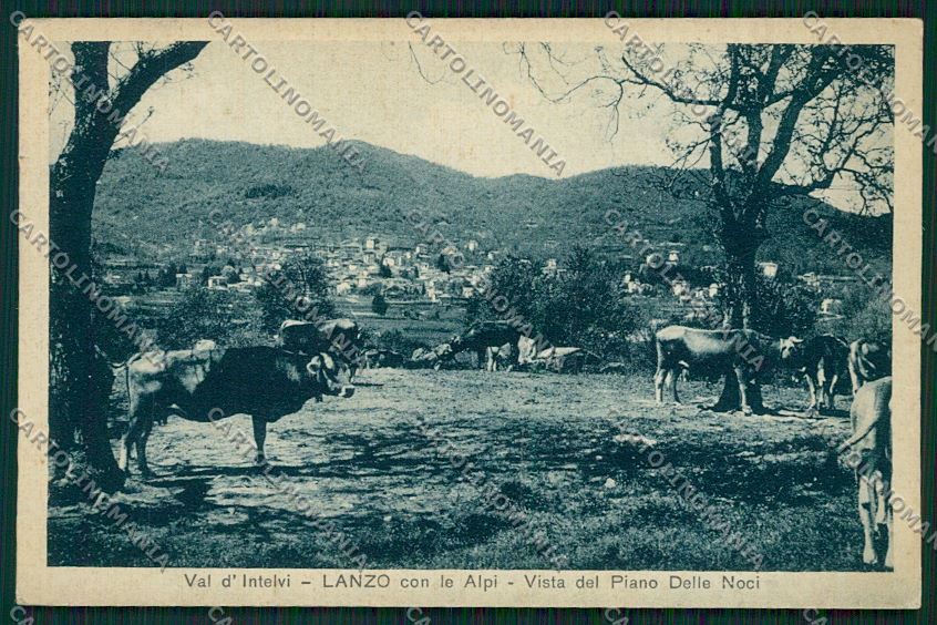 Como Lanzo d'Intelvi Piano delle Noci cartolina QK3592 – fronte