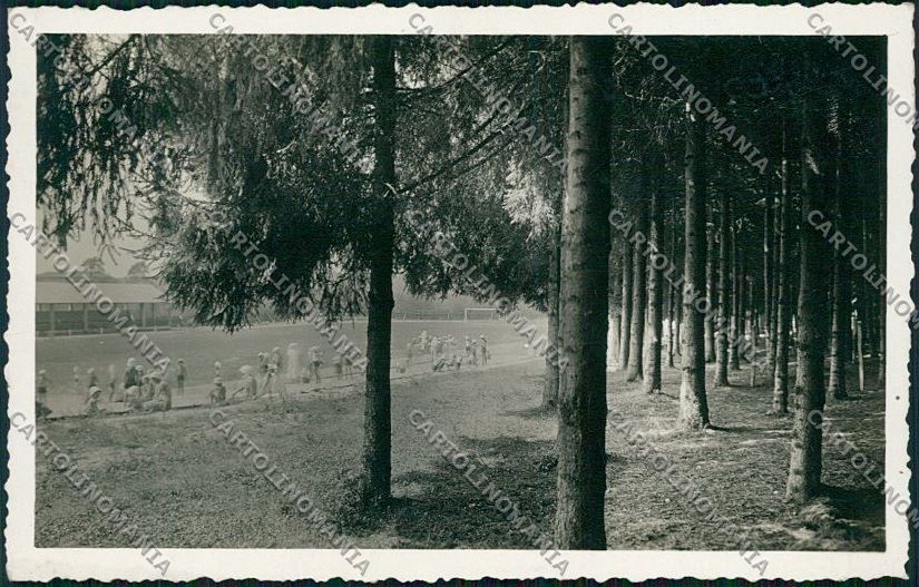 Como Olgiate Comasco Foto cartolina QK3821 – fronte