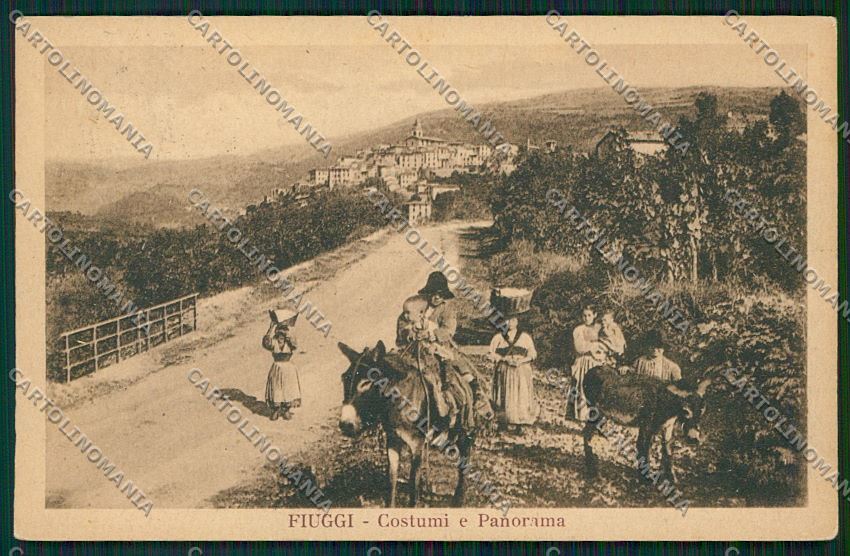 Frosinone Fiuggi Asino cartolina QK4141 – fronte