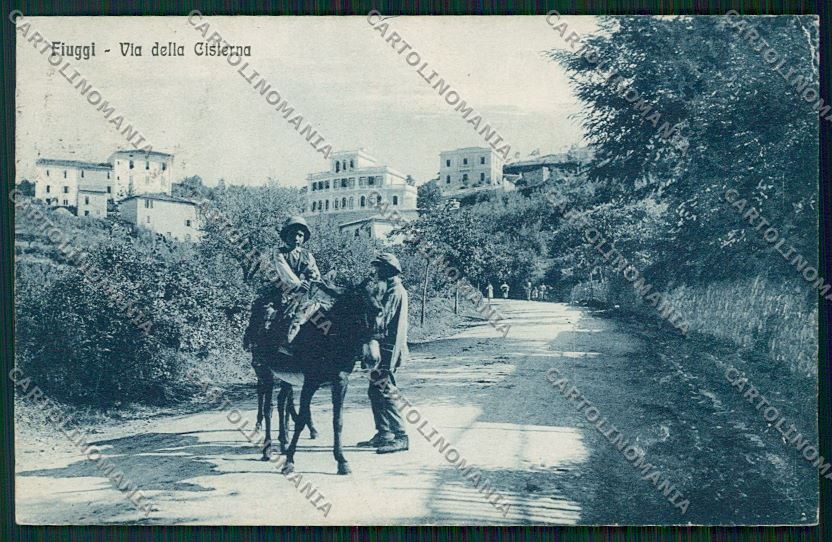 Frosinone Fiuggi Asino PIEGHE cartolina QK4170 – fronte