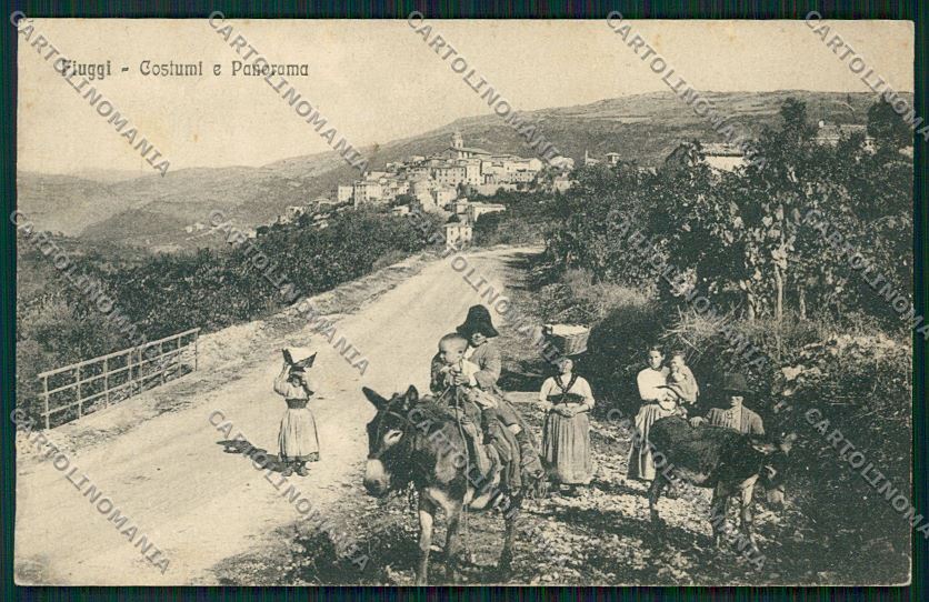 Frosinone Fiuggi Asino cartolina QK4174 – fronte