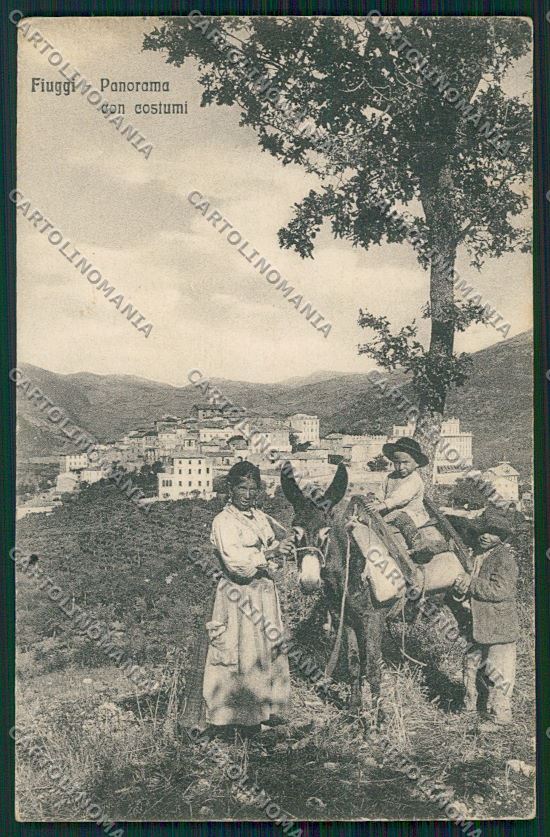 Frosinone Fiuggi Asino cartolina QK4189 – fronte