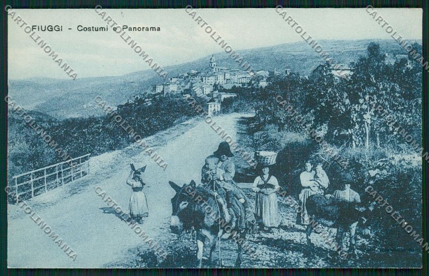 Frosinone Fiuggi cartolina QK4213 – fronte
