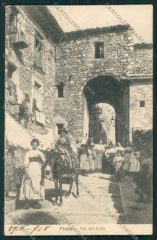 Frosinone Fiuggi Asino cartolina QK4219 – fronte