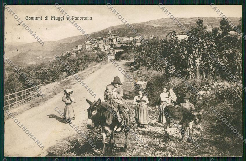 Frosinone Fiuggi cartolina QK4225 – fronte
