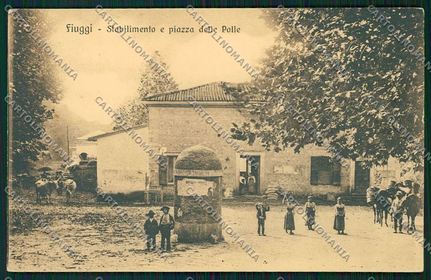 Frosinone Fiuggi cartolina QK4226 – fronte