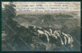 Terni Orvieto Gregge Foto cartolina QK4520 – fronte