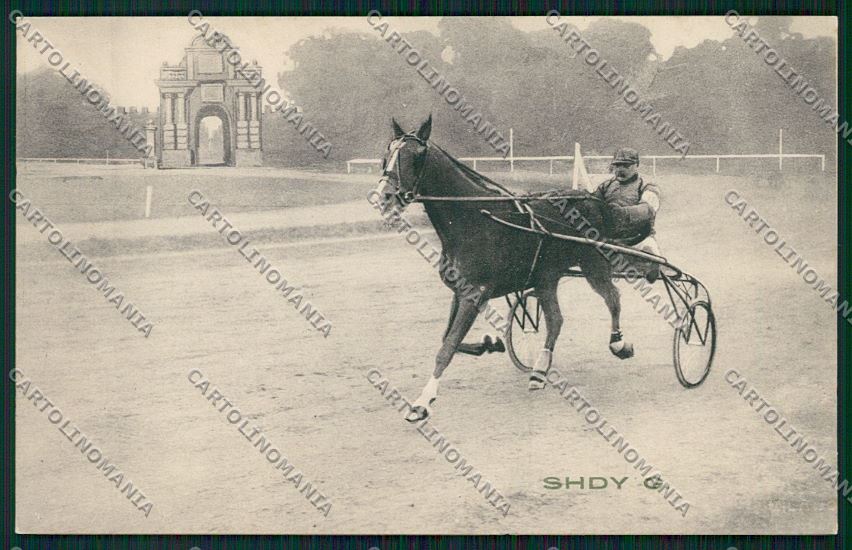 Ravenna Faenza Ippica cartolina QK4670 – fronte